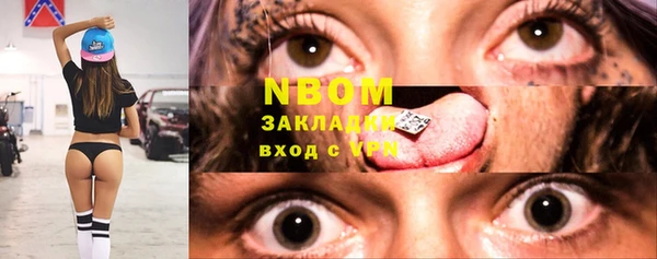 молекула духа Богородицк