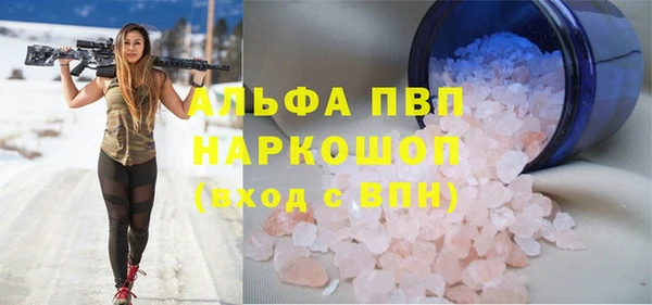 молекула духа Богородицк