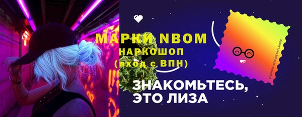 молекула духа Богородицк