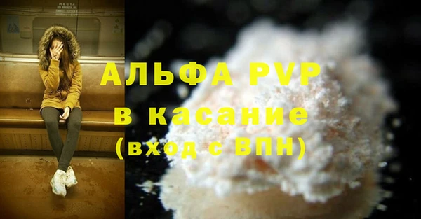 молекула духа Богородицк
