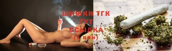 молекула духа Богородицк