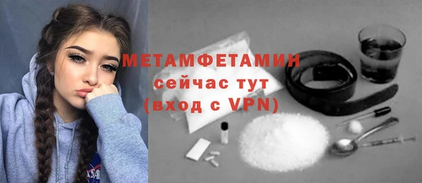молекула духа Богородицк