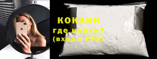 ГАЛЛЮЦИНОГЕННЫЕ ГРИБЫ Богданович