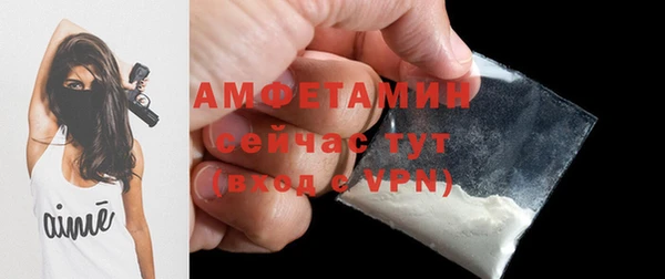ГАЛЛЮЦИНОГЕННЫЕ ГРИБЫ Богданович