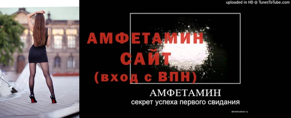 молекула духа Богородицк