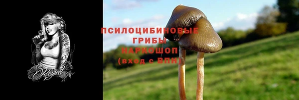 дживик Богородск