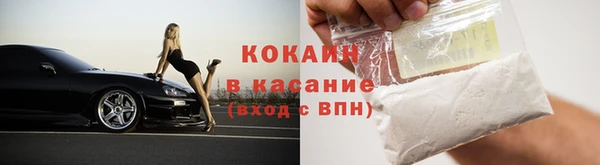 дживик Богородск