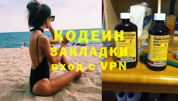 дживик Богородск