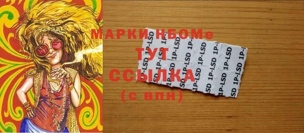 молекула духа Богородицк