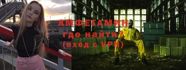 ГАЛЛЮЦИНОГЕННЫЕ ГРИБЫ Богданович