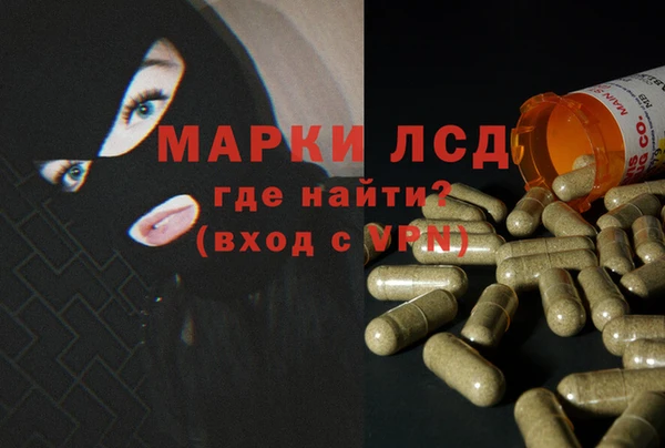дживик Богородск