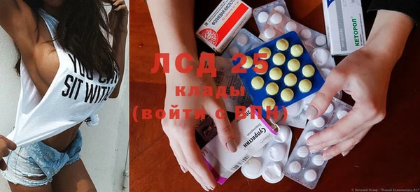 дживик Богородск