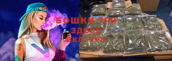 ГАЛЛЮЦИНОГЕННЫЕ ГРИБЫ Богданович