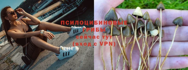 дживик Богородск