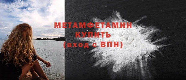ГАЛЛЮЦИНОГЕННЫЕ ГРИБЫ Богданович