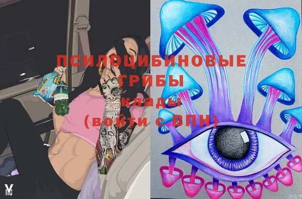 ГАЛЛЮЦИНОГЕННЫЕ ГРИБЫ Богданович