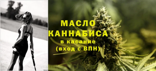 молекула духа Богородицк