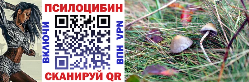 Псилоцибиновые грибы мицелий  Самара 